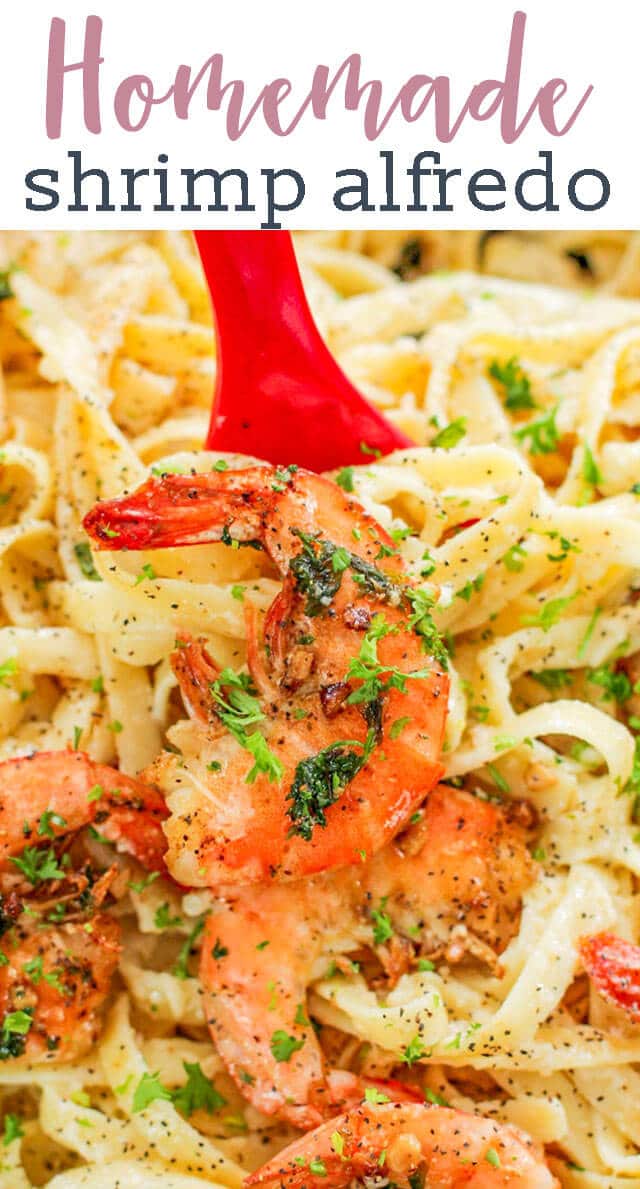 For the nights you want an amazing, yet easy alfredo pasta recipe, this shrimp alfredo pasta recipe is for you! Using fresh and minimal ingredients to make the alfredo from scratch, plus garlicky shrimp, and perfectly cooked fettuccine, your family will be lining up for seconds and thirds! #alfredo #shrimp #pasta #dinner #shrimpdinner via @tastesoflizzyt