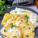 easy slow cooker pork chops