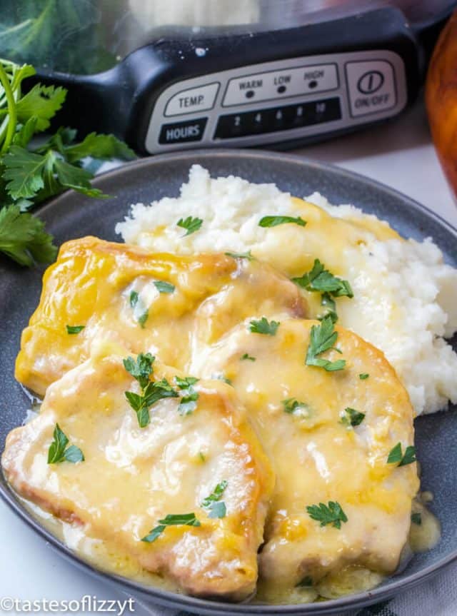 Pork Chops and Gravy {Grandma's Slow Cooker Recipe with Gravy}