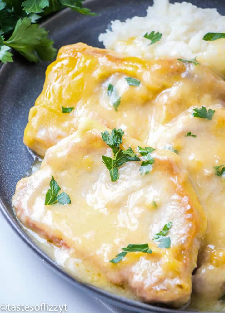 close up creamy pork chops