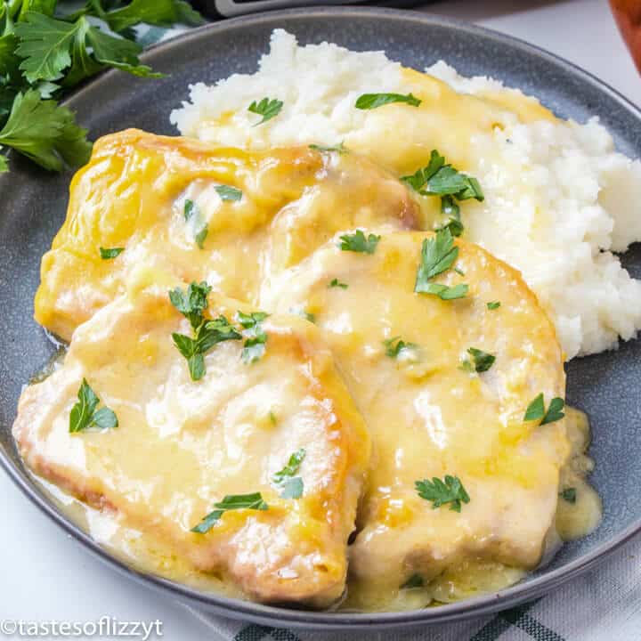 Slow Cooker Pork Chops and Gravy with mashed potatoes