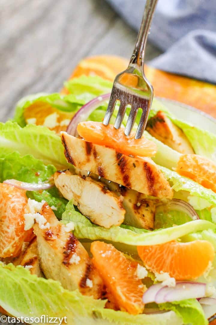 A close up of a chicken salad with a fork