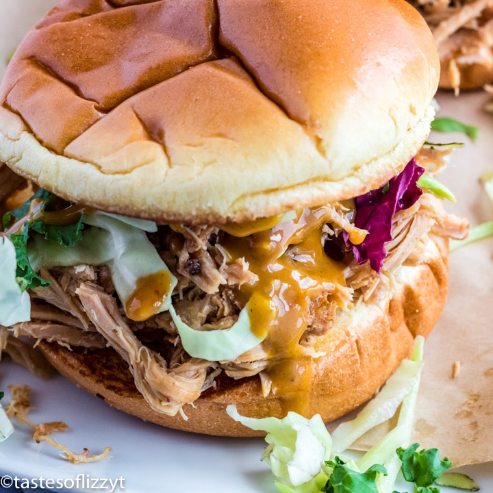 pulled pork sandwich on a plate