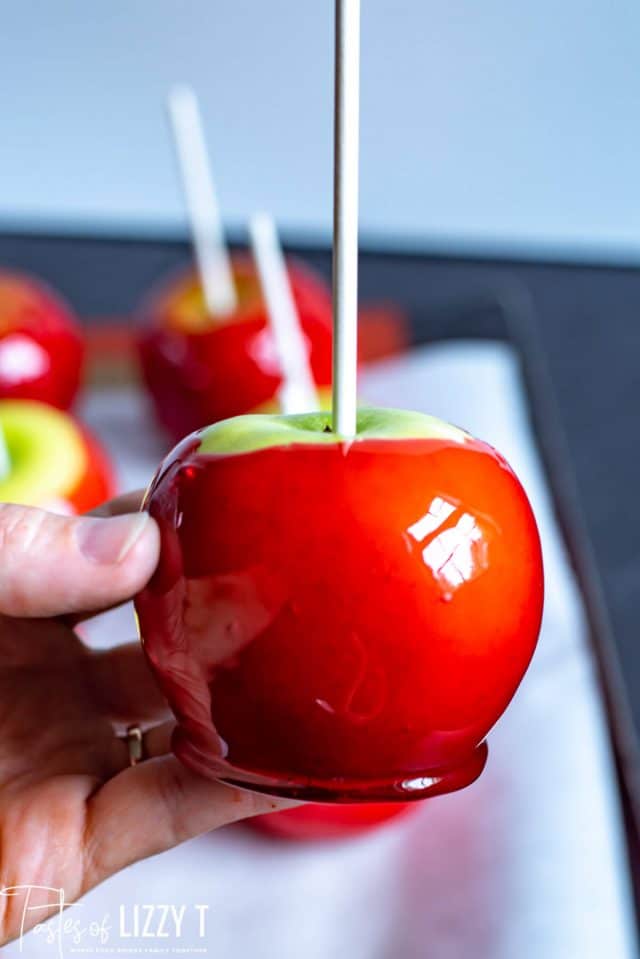 hand holding candied apples