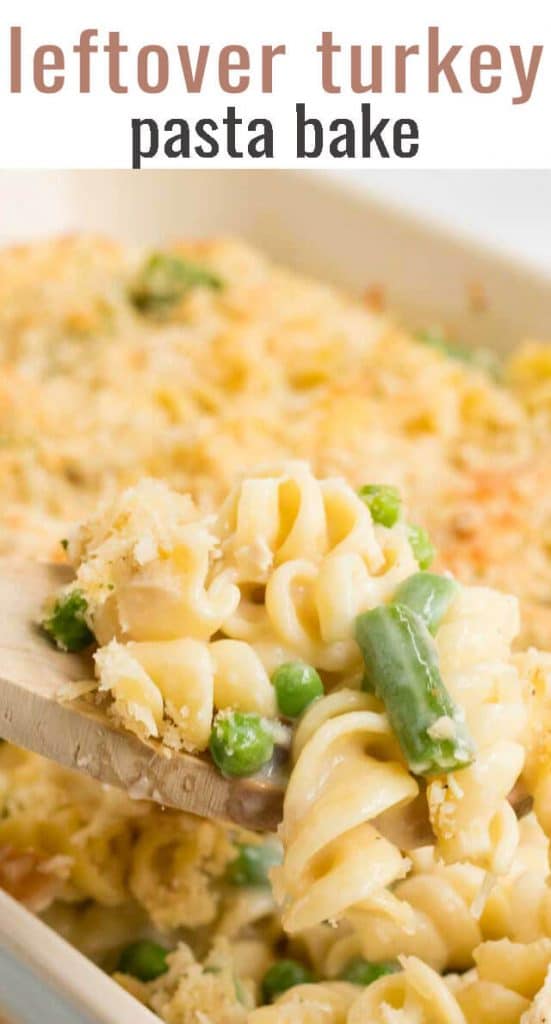 A close up of a plate of food with vegetables and noodles