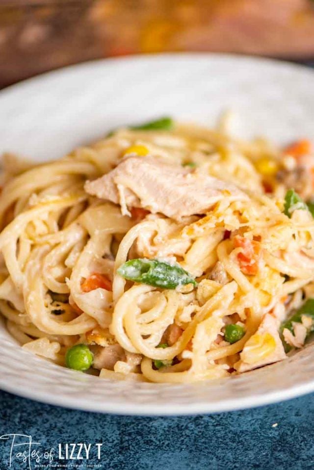 A plate of food with turkey, pasta and veggies