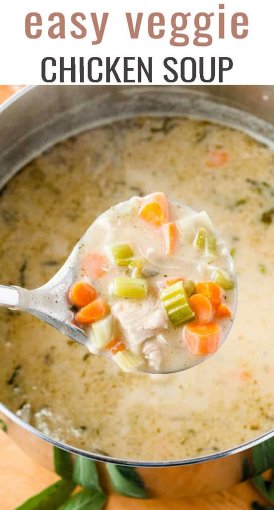 A bowl of food, with Soup and Chicken in a ladle