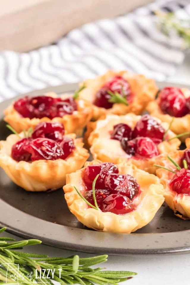 Food on a plate, with cranberries