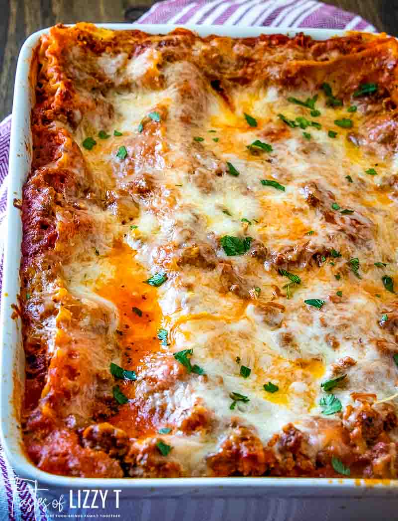 No Bake Lasagna Noodles Recipe - Design Corral