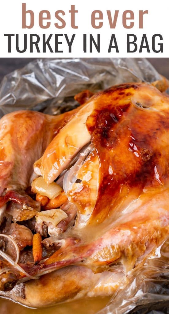 A close up of food, with turkey and Oven bag