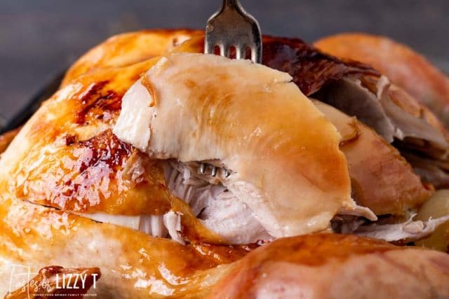 Cooking Turkey in a Bag {Oven Roasted Turkey} Tastes of Lizzy T