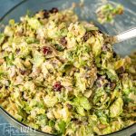 Brussels Sprouts Salad with cranberries