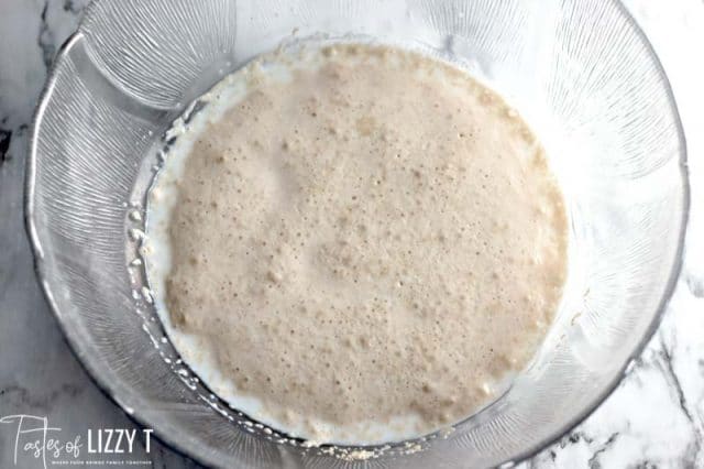 active yeast in a bowl