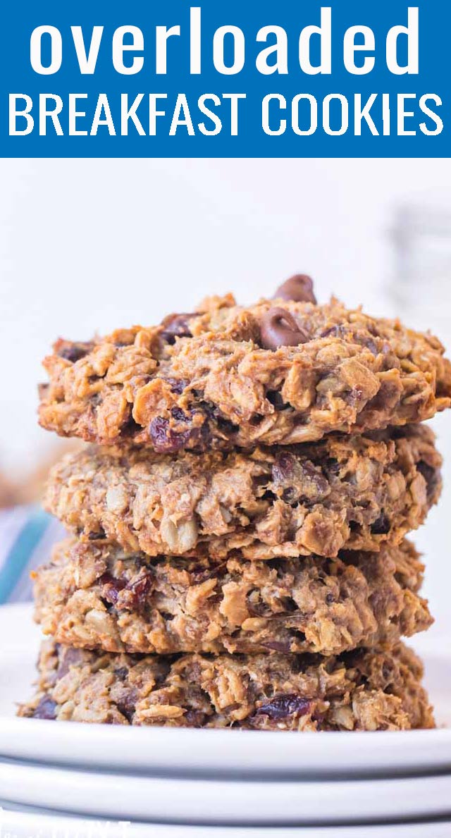 Oatmeal Breakfast Cookies Recipe Tastes of Lizzy T