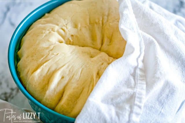 risen dough in a bowl