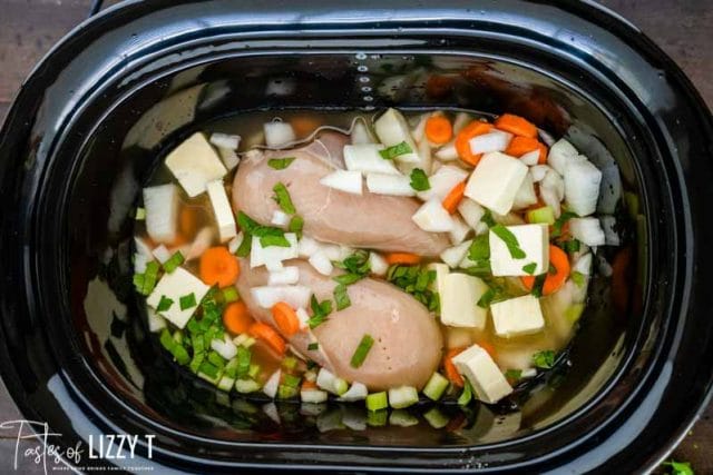 chicken soup in the slow cooker