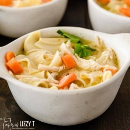 bowl of chicken and noodles