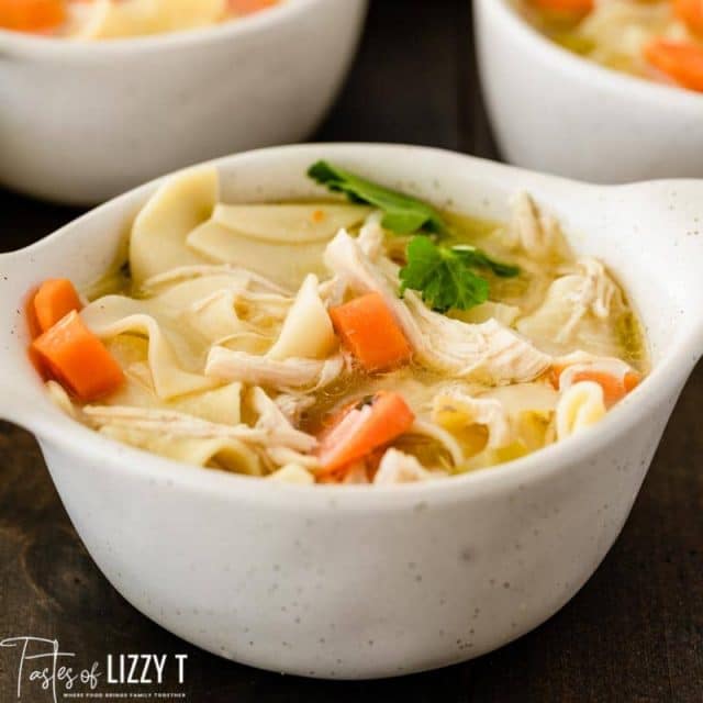 bowl of chicken and noodles