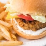 burger on a plate with fries