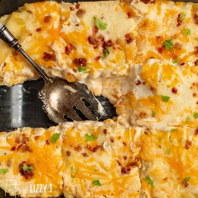 cheesy white lasagna overhead