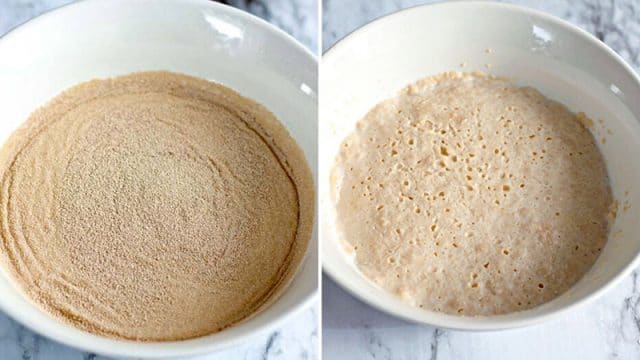 yeast proofing in a bowl