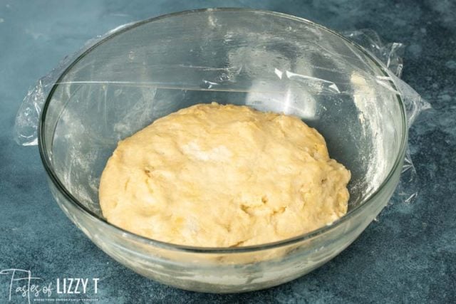 friendship bread dough in a bowl after 24 hours