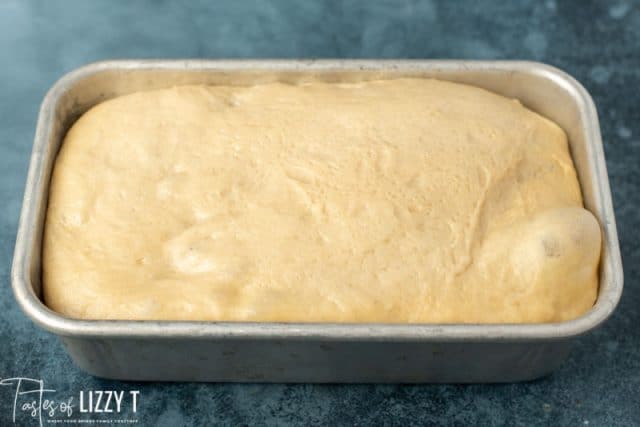 risen bread dough in a loaf pan