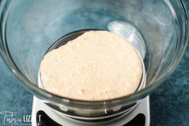 sourdough starter in a bowl