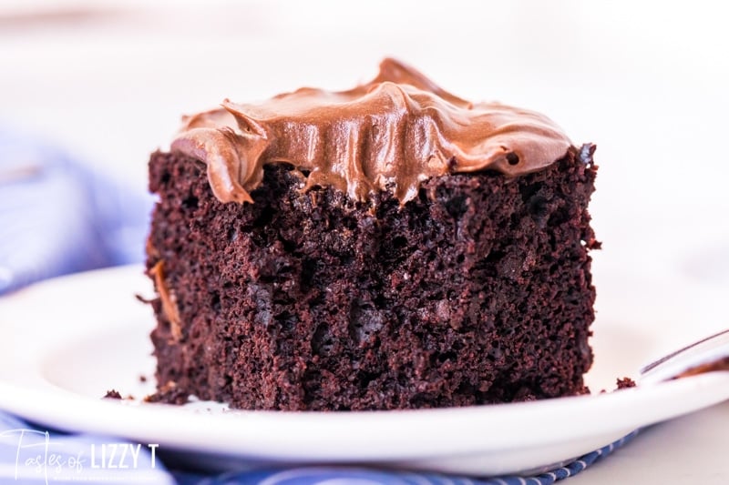 chocolate cake on a plate with chocolate frosting