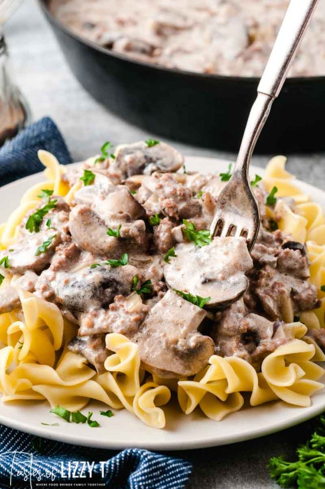 pile of beef stroganoff with noodles and a fork