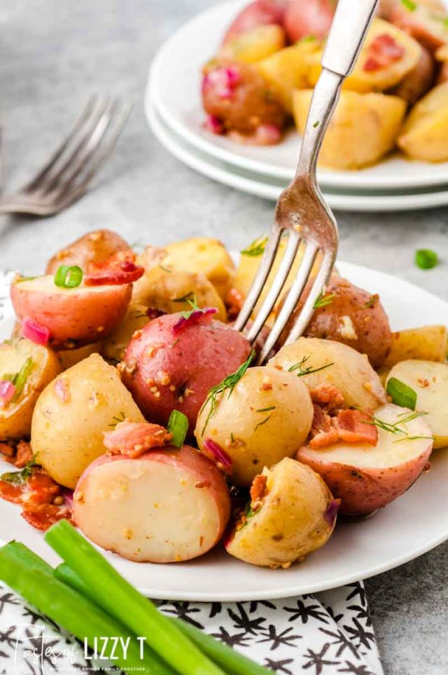 german potato salad on a plate with a fork