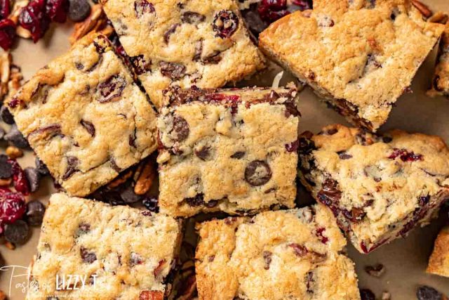 pile of chocolate chunk cranberry coconut blondies