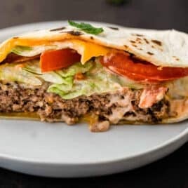 quesadilla burger on a plate