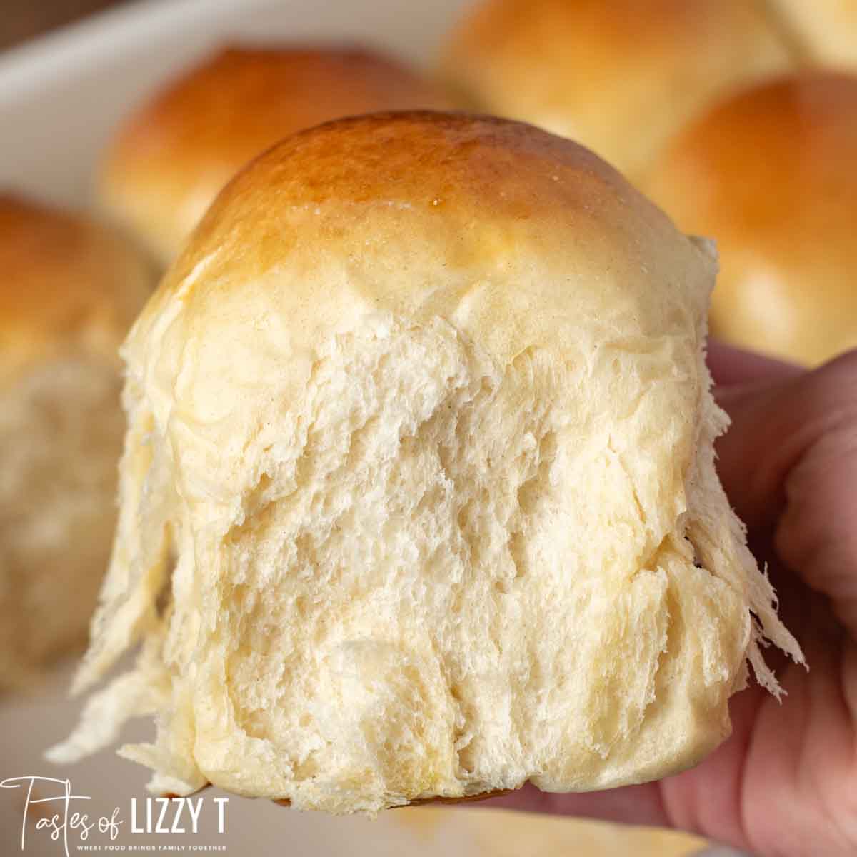 hand holding tall, fluffy sourdough rolls