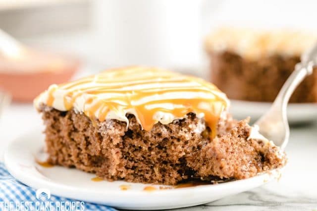 slice of crazy spice cake on a plate with a bite of it on a a fork