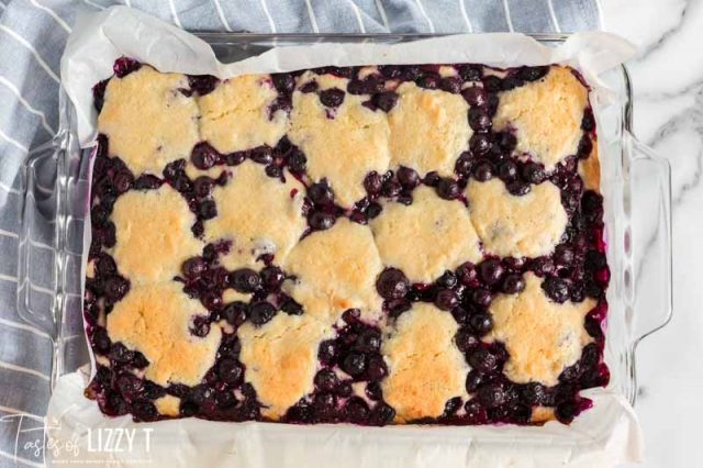 baked blueberry coconut bars