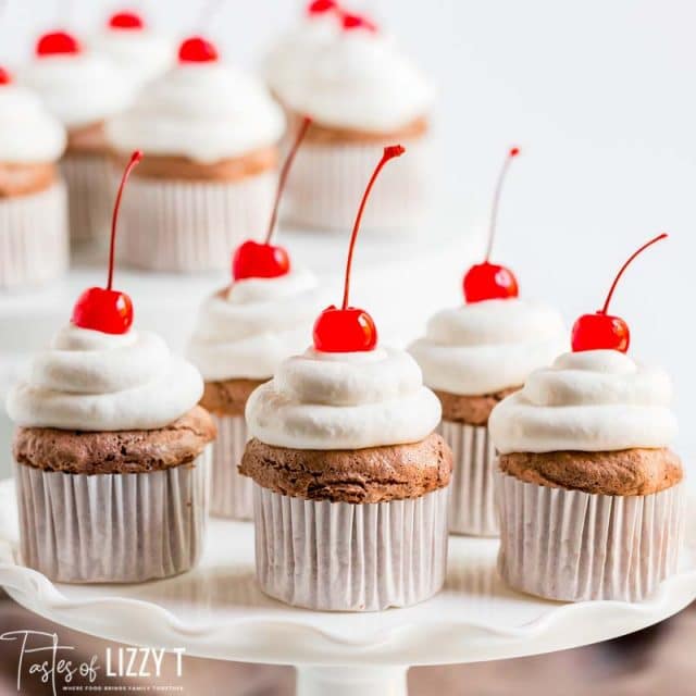 6 chocolate angel food cupcakes on a plate