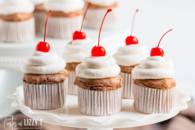 Chocolate Angel Food Cupcakes Tastes of Lizzy T