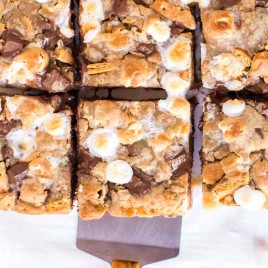 overhead view of sliced S'mores Bars