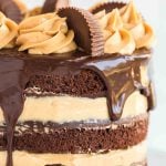 closeup of chocolate peanut butter cup cake