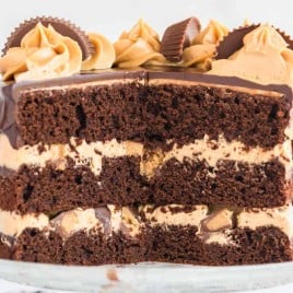 three layer chocolate cake with peanut butter