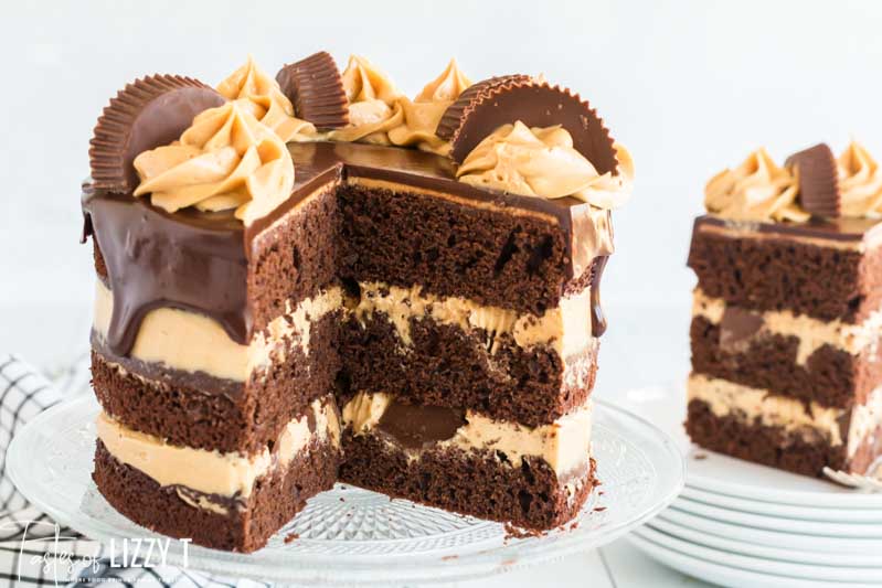 large slice out of a layered chocolate cake