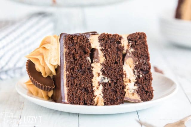 chocolate peanut butter cake on a plate