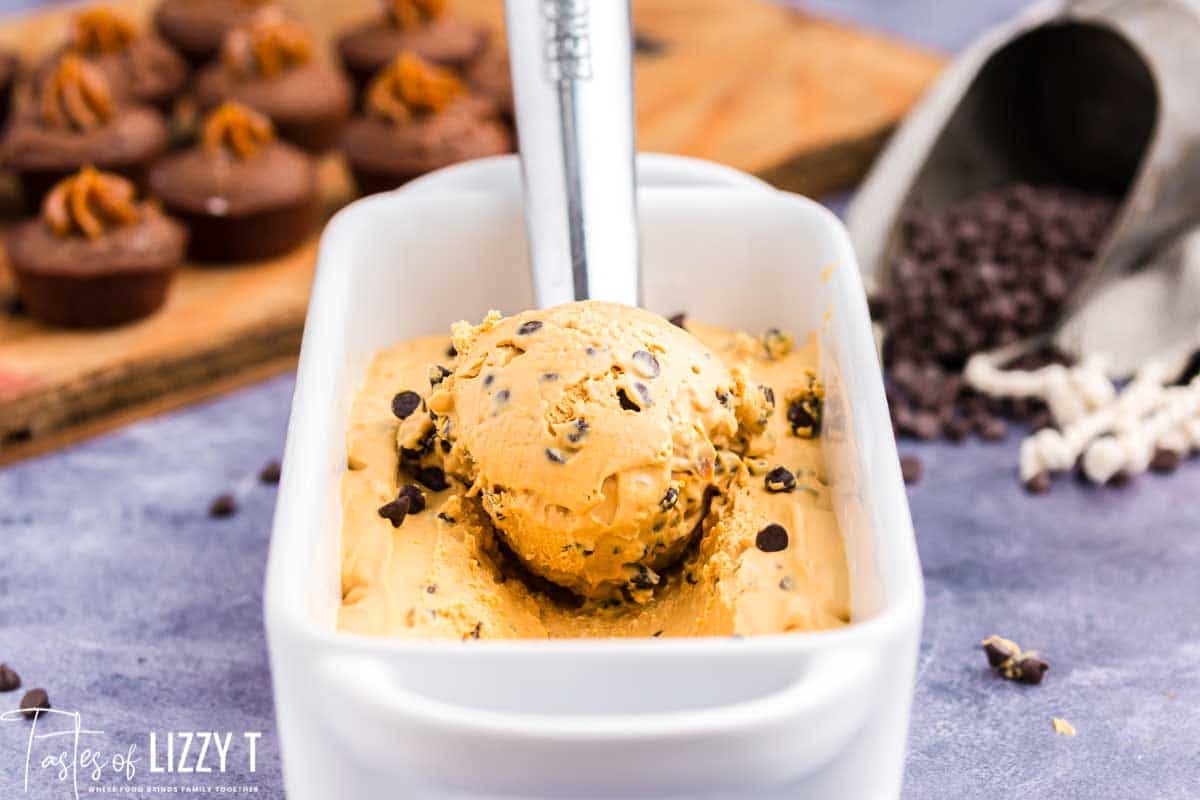 Dulce de Leche Chocolate Chip Ice Cream-image