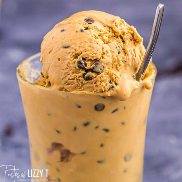 cup of caramel ice cream with chocolate chips
