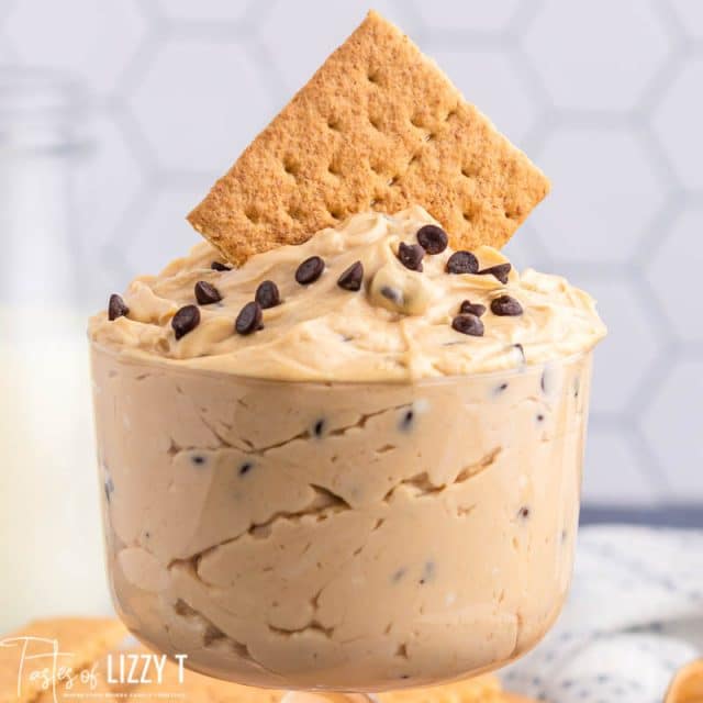 graham cracker in peanut butter cheesecake dip