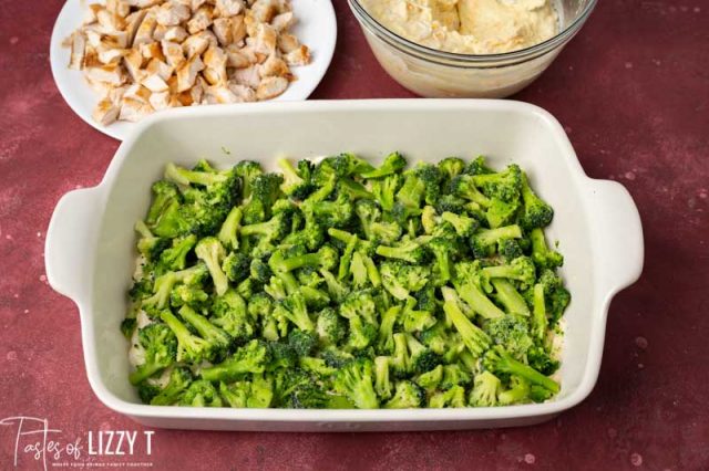 broccoli in casserole dish