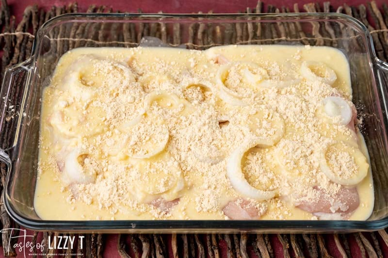 Oven Baked Chicken and Gravy Recipe | Tastes of Lizzy T