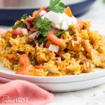 close up of salsa verde chicken and rice