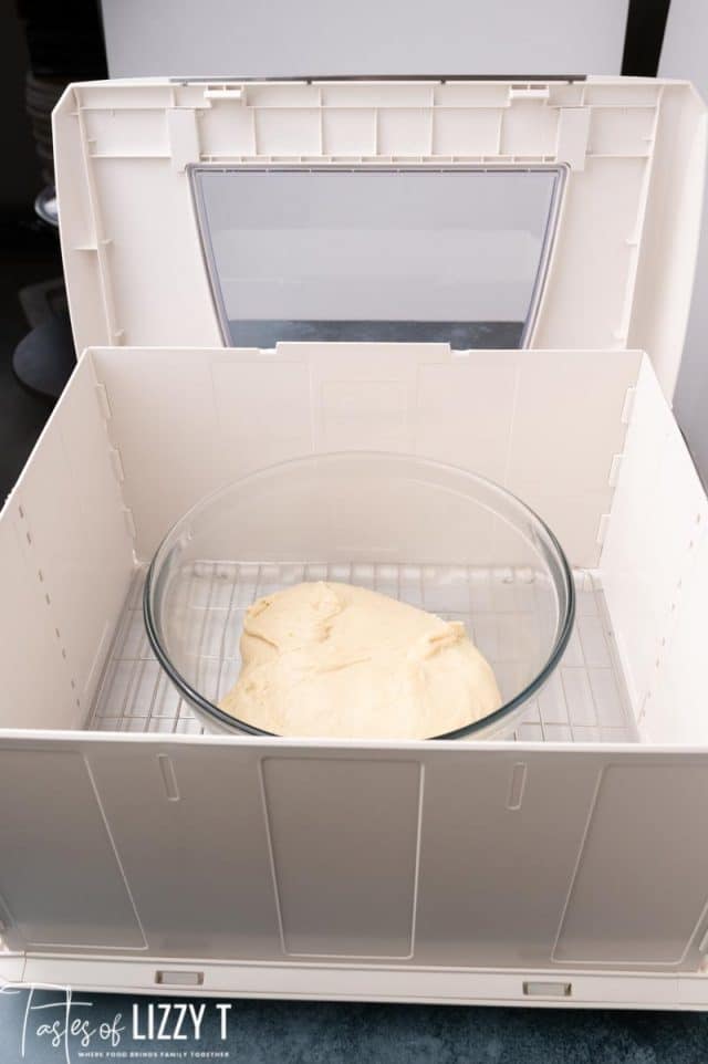 dough rising in a bread proofer